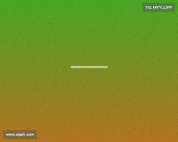 马术文化的传承与创新：探索现代骑术的魅力与发展趋势